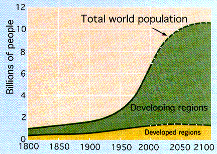 Curva di crescita della popolazione mondiale dal 1800 e in previsione fino al 2100, elaborata per le Nazioni Sviluppate (nota la regressione dai giorni nostri per via delle minori nascite) e in Via di Sviluppo