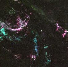 resti di supernova N132D