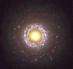 NGC 9828