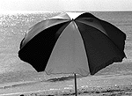 Blue umbrella in black & white